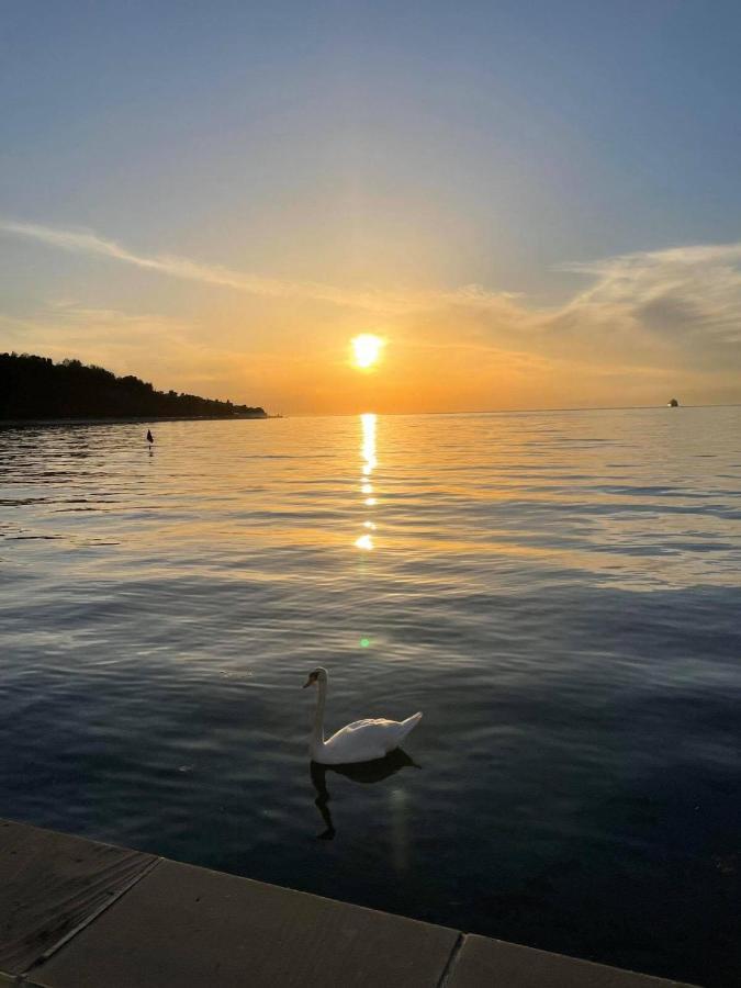 Sun & Love Apartment Koper Dış mekan fotoğraf